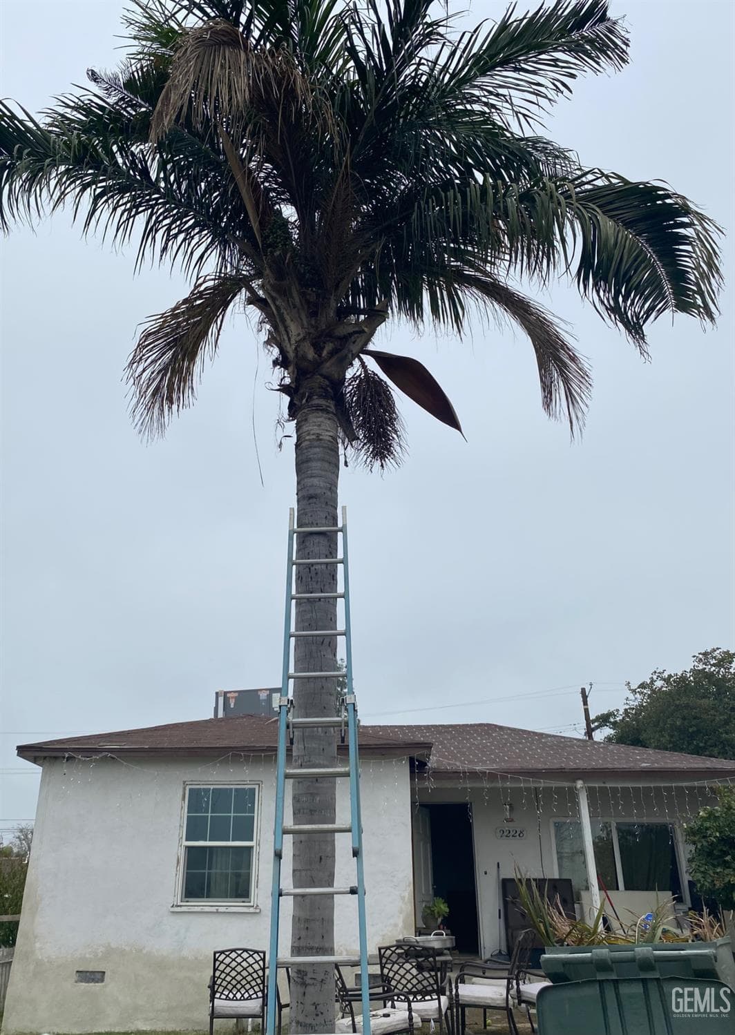 2228 College Avenue — photo 3