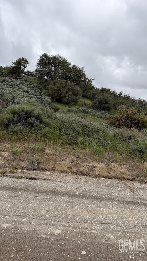 El Rancho Drive — photo 2