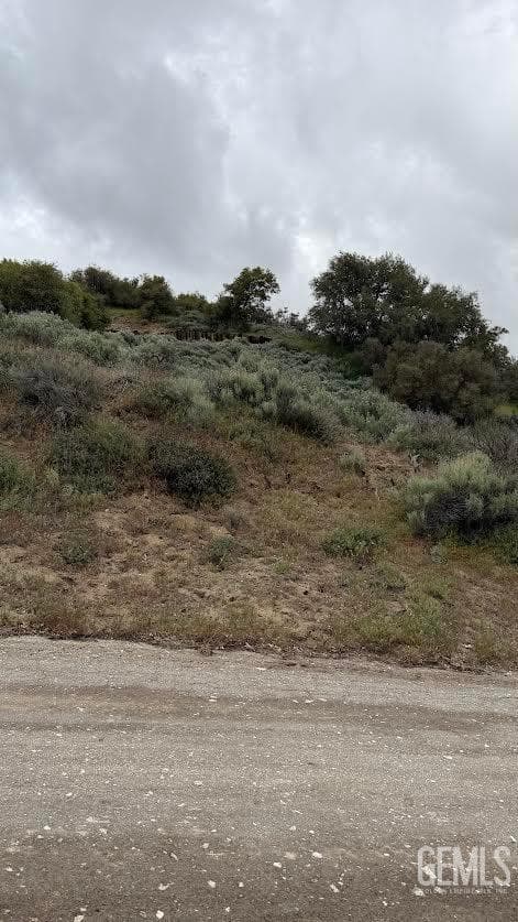 El Rancho Drive — photo 4