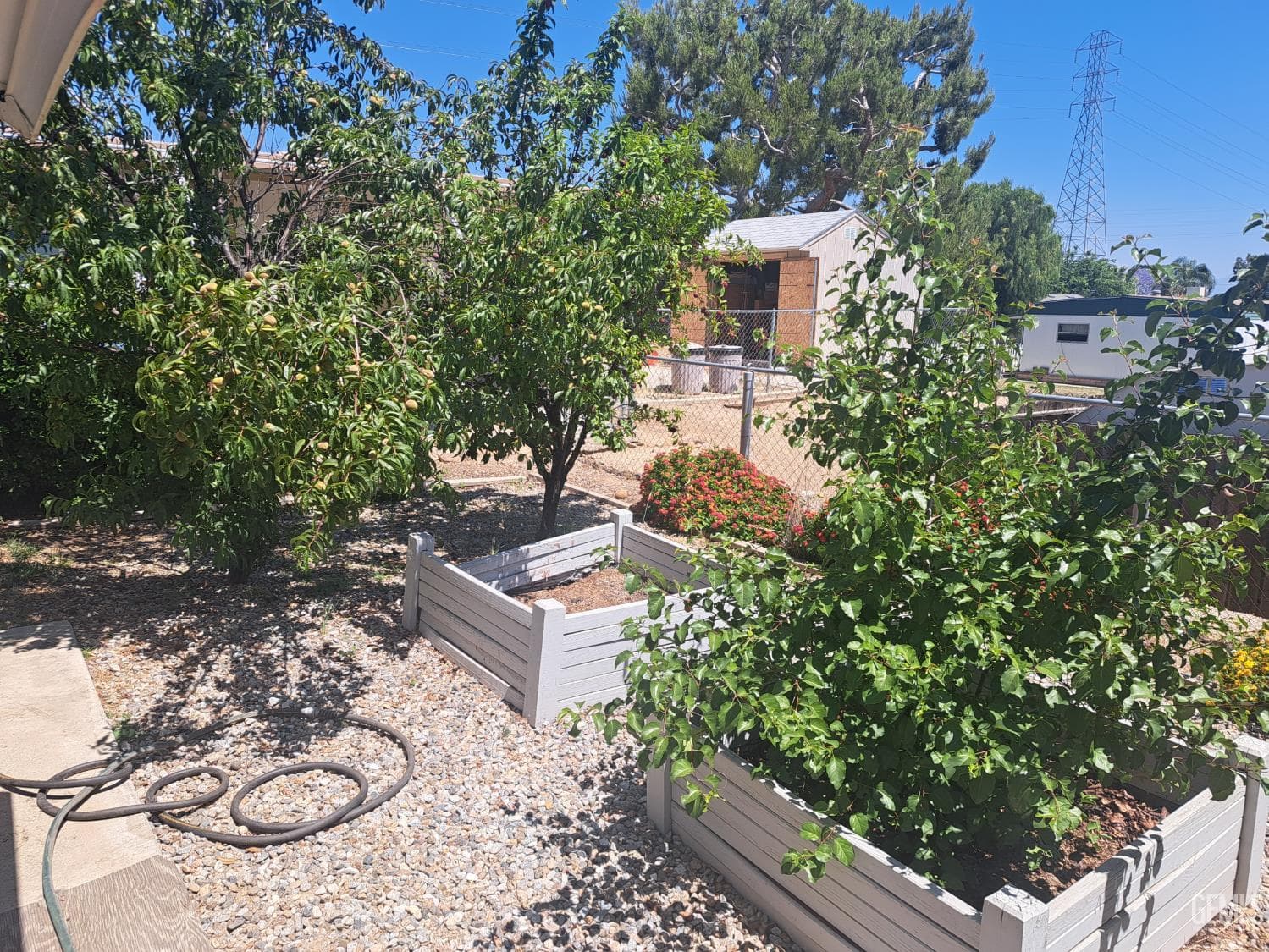 162 Love Lane — photo 4
